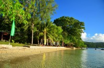Trees and Fishes, Vanuatu Private Island - Shore Line