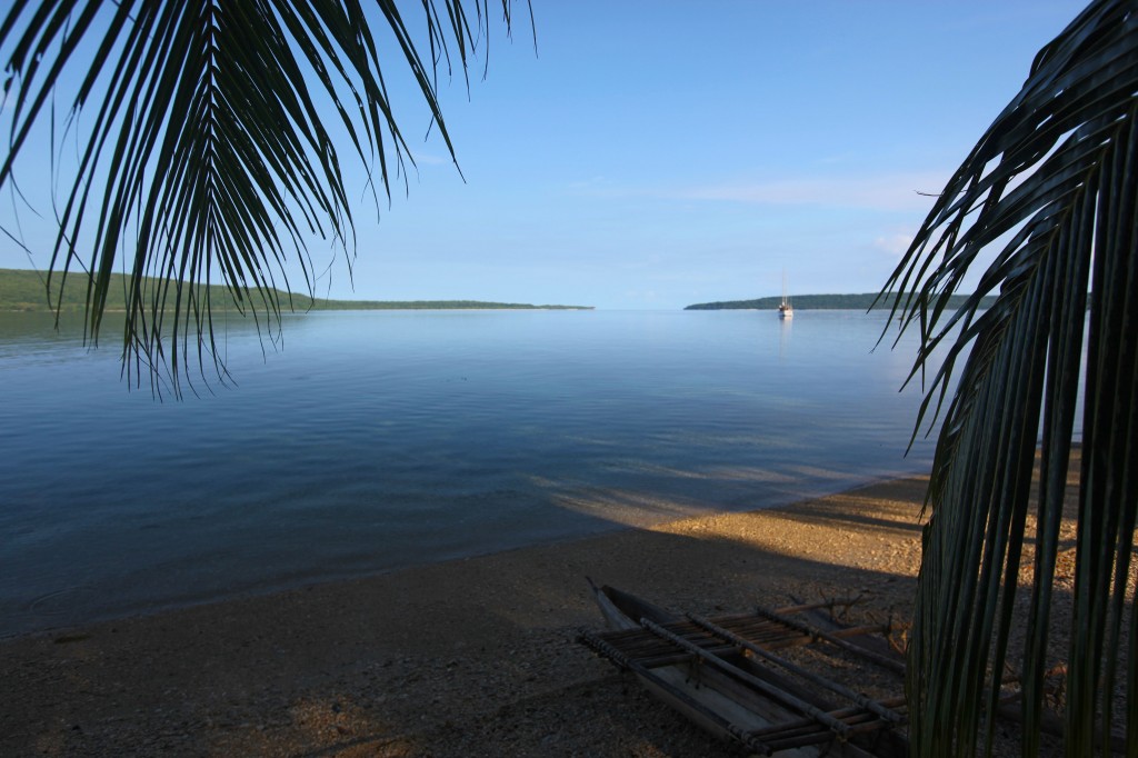 the silent beach - Trees and Fishes, Vanuatu Private Island