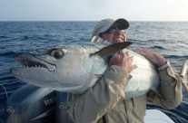 60 kg dogtooth fishing