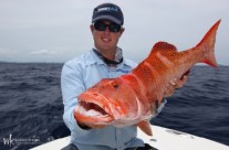 red bass fishing