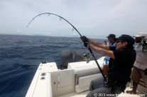 vanuatu fishing experience