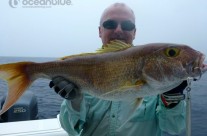 David Akeroyd's group - coral trout fishing