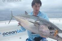 How about this dogtooth tuna on my hands?
