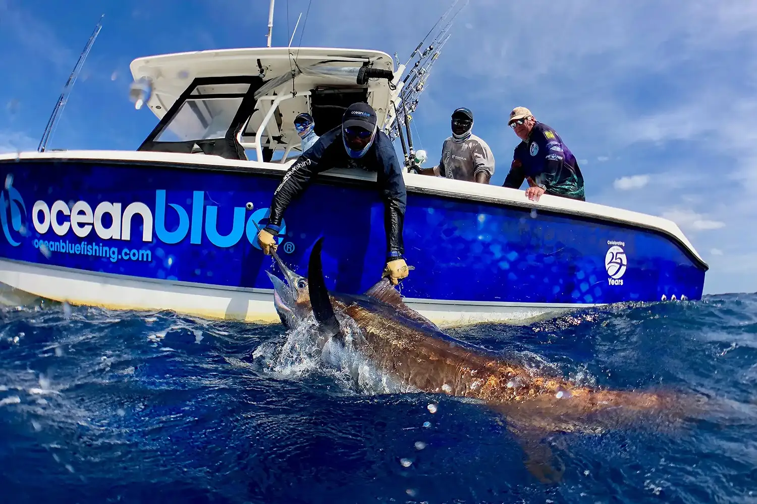 Large Marlin Caught with Ocean Blue Fishing Vanuatu