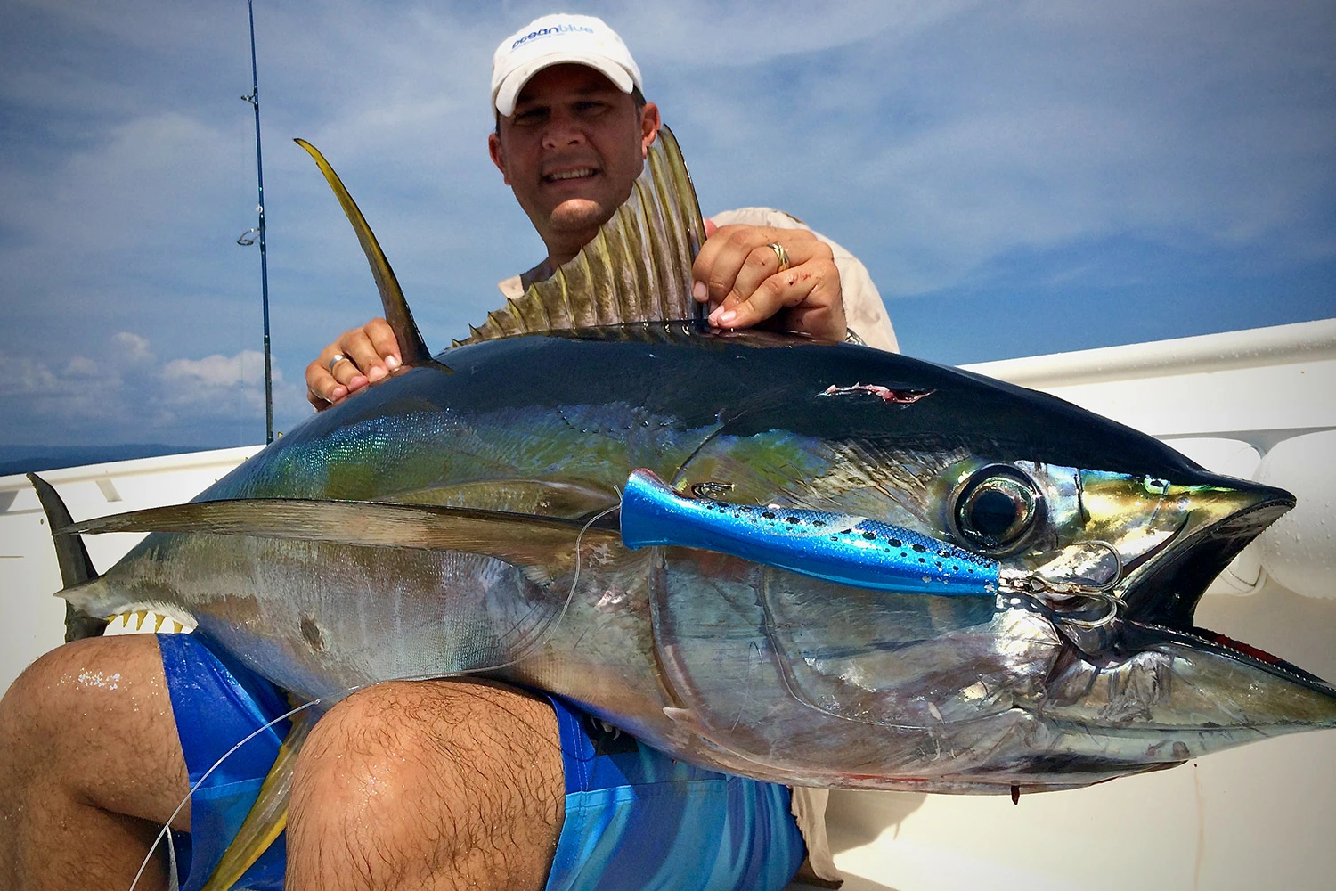 Large Yellow Fin Tuna Responsibly Caught at Trees and Fishes vanuatu