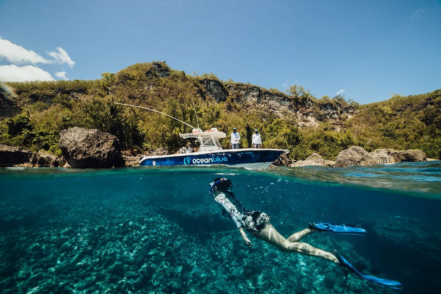 Experience tropical snorkeling with Trees and Fishes Private Luxury Retreat